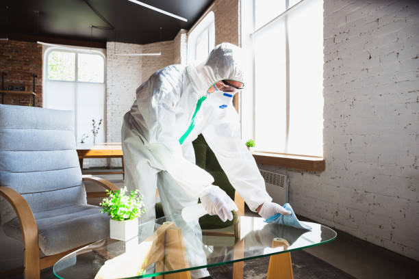 Reliable Franklin, NJ Mold Removal Services Solutions